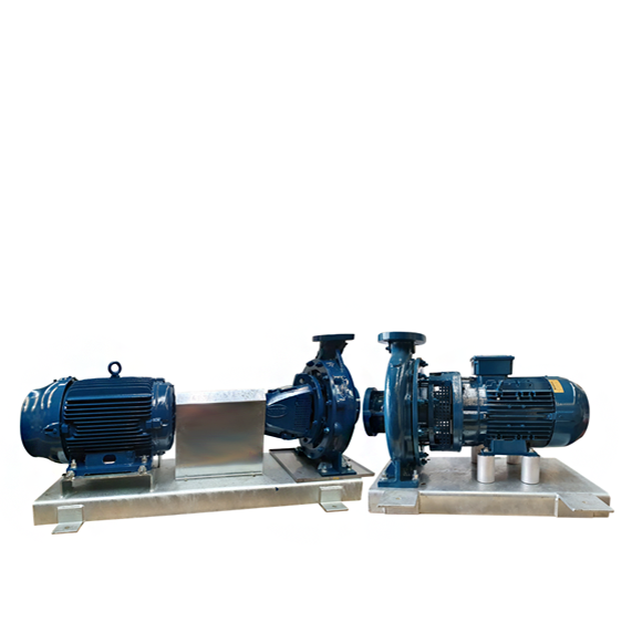 Long or Close Coupling Alignment Pumpsets Masterflow